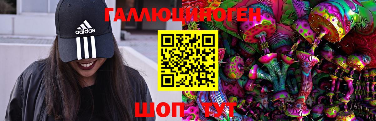 купить наркотик  Псилоцибиновые грибы GOLDEN TEACHER  Вход с VPN  Удомля 