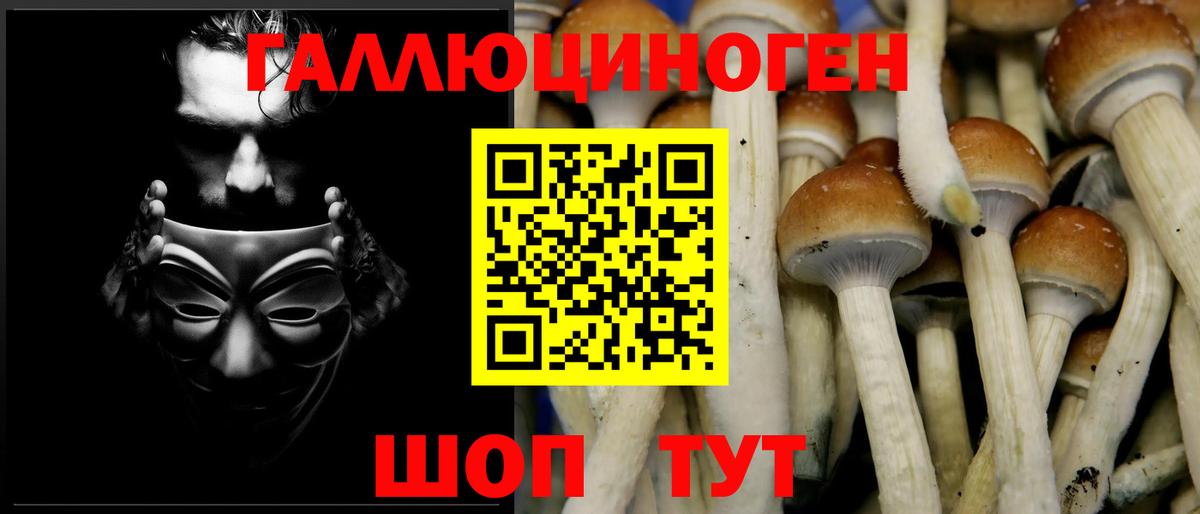 Псилоцибиновые грибы MAGIC MUSHROOMS Удомля